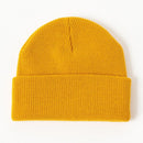 SPITFIRE BIGHEAD BIGHEAD CUFF BEANIE MUSTARD 【 スピットファイア ビッグヘッド ビーニー マスタード 】