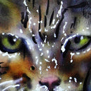 SNACK CULLEN MILES DAVIS DECK 8.1 【 スナック カレン マイルズ デイビス デッキ 】