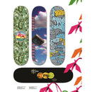 STUDIO BRYAN WHERRY SKY VISION DECK 8.0 【 スタジオ ブライアン ウェリー スカイ ヴィジョン デッキ 】