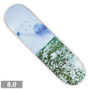 POLAR SKATE CO. PAUL GRUND MAN WITH WINDOW DECK 8.0 【 ポーラー ポール グラウンド マン ウィズ ウィンドウ デッキ】