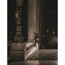 STUDIO BRAVE NEW BOARD DECK 8.0 【 スタジオ ブレイブ ニュー ボード デッキ 】