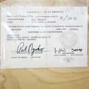 SMA NGOHO SERIES 3 DECK 9.5 ORANGE 【 サンタモニカ エアラインズ ンゴホ デッキ オレンジ 】