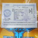 SMA JESSE MARTINEZ SNAKE SERIES 4 DECK 9.875 ORANGE 【 サンタモニカ エアラインズ ジェシー マルチネス スネーク デッキ オレンジ ディップ 】