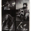 PRIMITIVE x BOB MARLEY PROPHET EGG DECK 8.75 【 プリミティブ x ボブ マーリー プロフェット エッグ デッキ 】