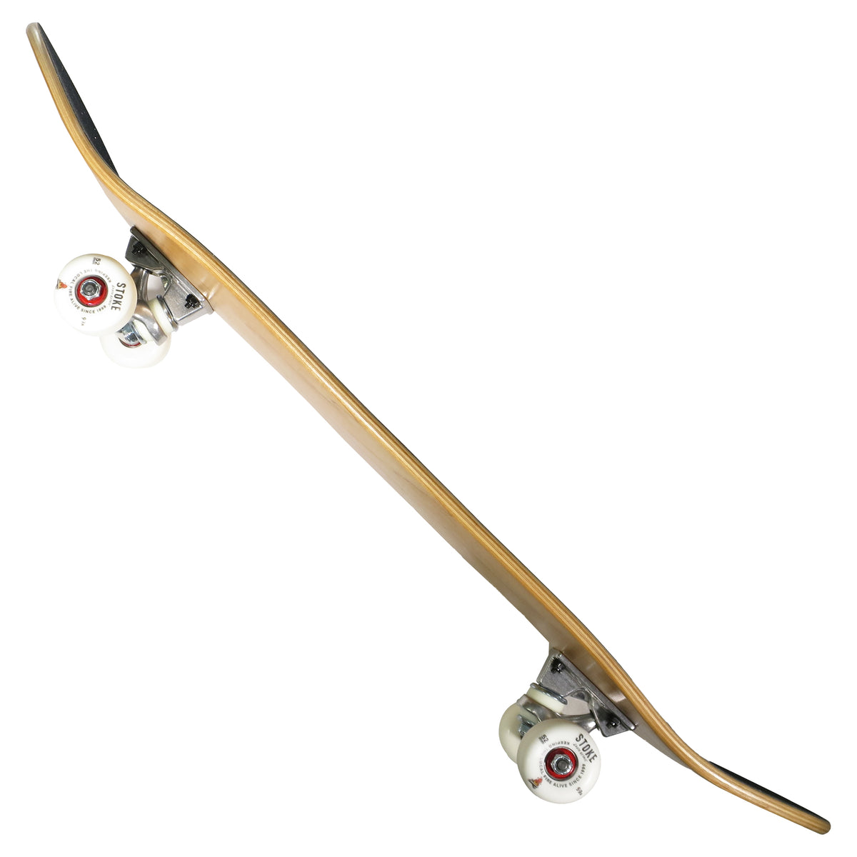 ☆組立済☆ BLANK 8.0 x ACE TRUCK COMPLETE 【 ブランク x エース