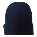 ANTI HERO EAGLE BEANIE NAVY 【 アンタイヒーロー イーグル ビーニー ネイビー】
