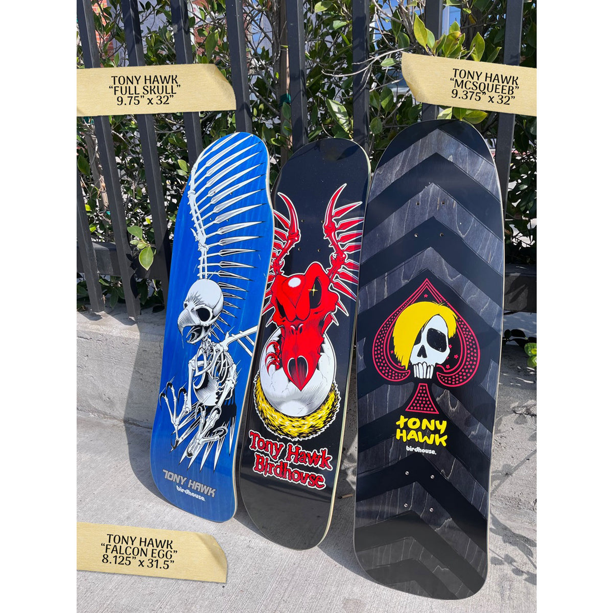 BIRDHOUSE HAWK FULL SKULL DECK 9.75 【 バードハウス ホーク フル