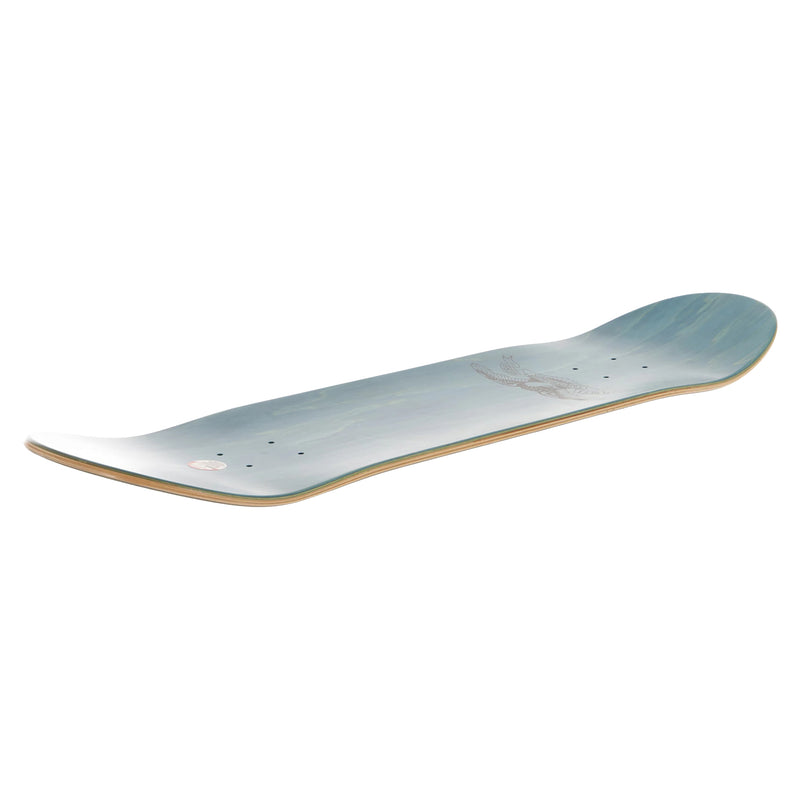 ANTI HERO EASY RIDER CLASSIC EAGLE 8.38 GREEN 【 アンタイヒーロー