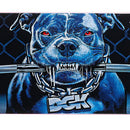 DGK CAGED DECK 8.06 【 ディージーケー ケイジド デッキ 】