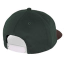 POLAR SKATE CO. JAKE CAP DREAMS JADE GREEN BROWN【 ポーラー ジェイク キャップ ドリームス ジェイド グリーン ブラウン  】