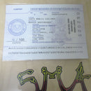 SMA BENNETT HARADA TIGER SAMURAI SERIES 4 DECK NATURAL 9.0 【 サンタモニカ エアラインズ ベネット ハラダ タイガー サムライ デッキ ナチュラル 】