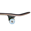 ★組立済★ STOKE x 373 BACKYARD HELL KIDS COMPLETE 7.25 【 ストーク ｘ 373 バックヤード ヘル キッズ 7.25 コンプリート 】