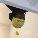 FIDEICIDE BEANIE YELLOW/GREEN 【 フィディサイド ビーニー イエロー ニットキャップ 】