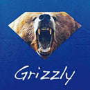 GRIZZLY x DIAMOND T-SHIRTS BLUE 【 グリズリー ダイヤモンド Tシャツ ブルー 】